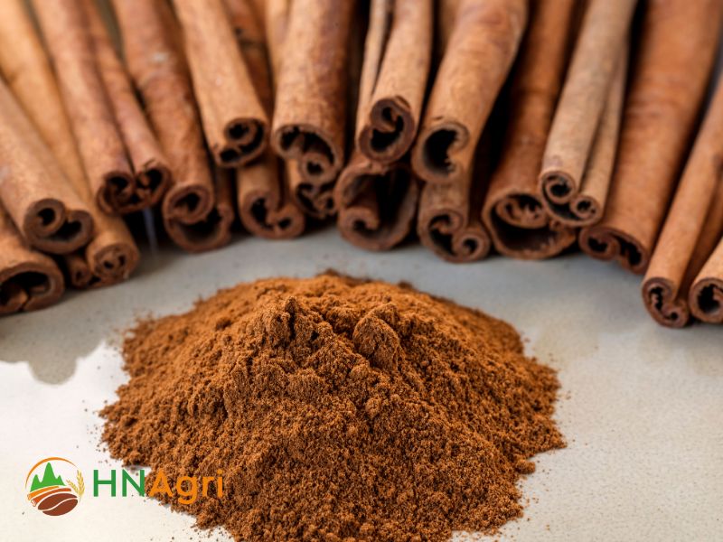 cassia-cinnamon-sticks-the-perfect-companion-for-culinary-adventures-2