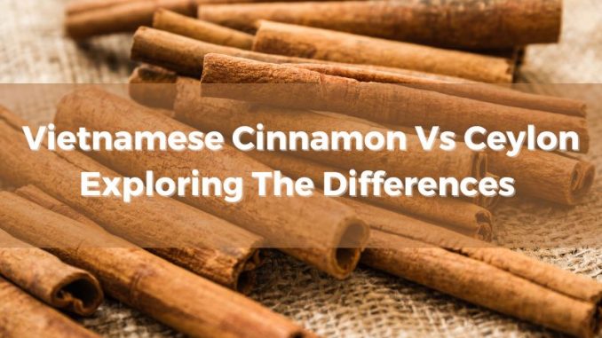 vietnamese-cinnamon-vs-ceylon-exploring-the-differences-between-them