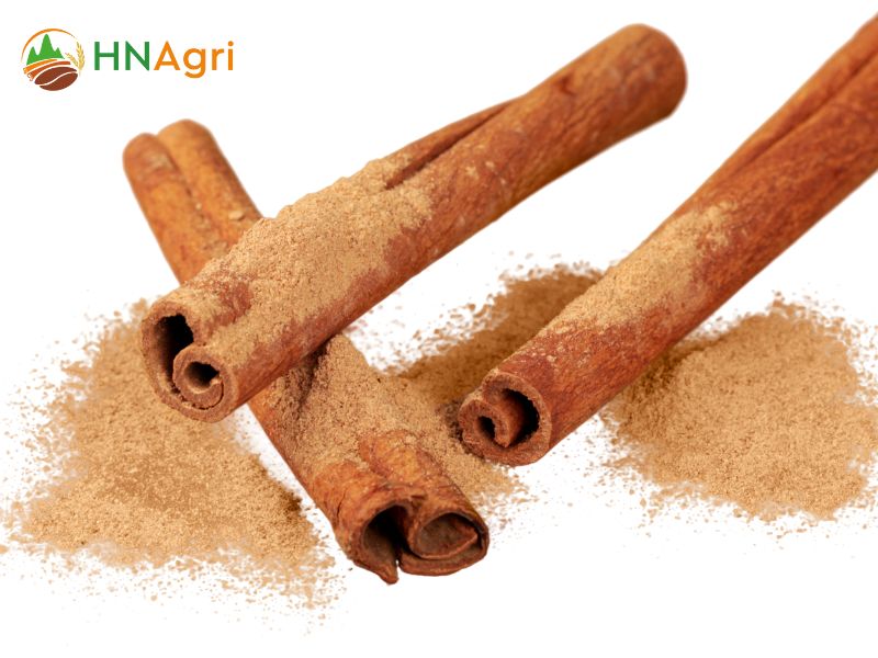 vietnamese-cinnamon-vs-ceylon-exploring-the-differences-between-them-1