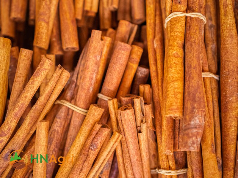 cassia-cinnamon-sticks-the-perfect-companion-for-culinary-adventures-1