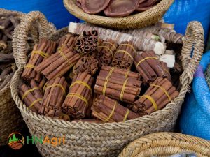 cassia-cinnamon-sticks-the-perfect-companion-for-culinary-adventures-3