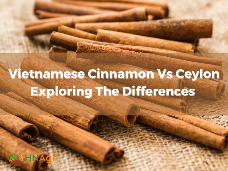 Vietnamese Cinnamon Vs Ceylon Exploring The Differences Between Them