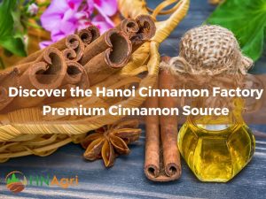 discover-the-hanoi-cinnamon-factory-premium-cinnamon-source-1