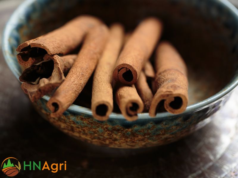 the-special-health-benefits-of-using-broken-cinnamon-that-you-need-to-know-1